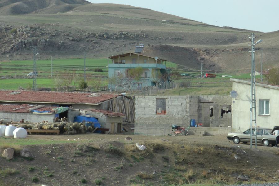 Hayvan sulatma meselesi kanlı bitti: 1 ölü, 2 yaralı