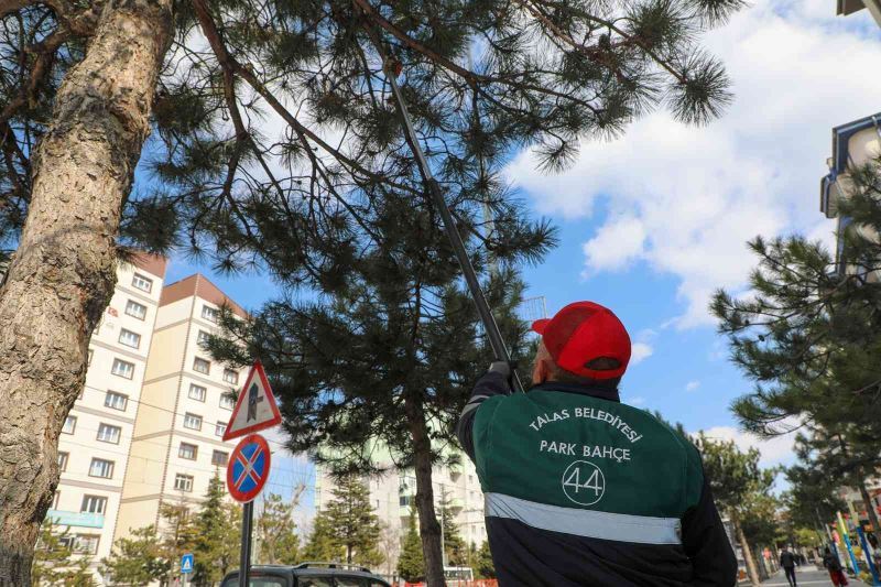 Talas Belediyesi “bahara merhaba” dedi
