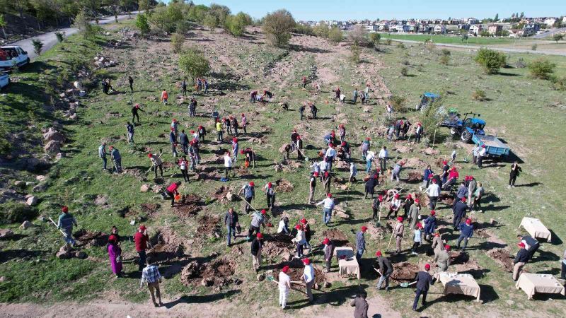 Talas Belediyesi’nden Ali Dağı’na fidan dikimi
