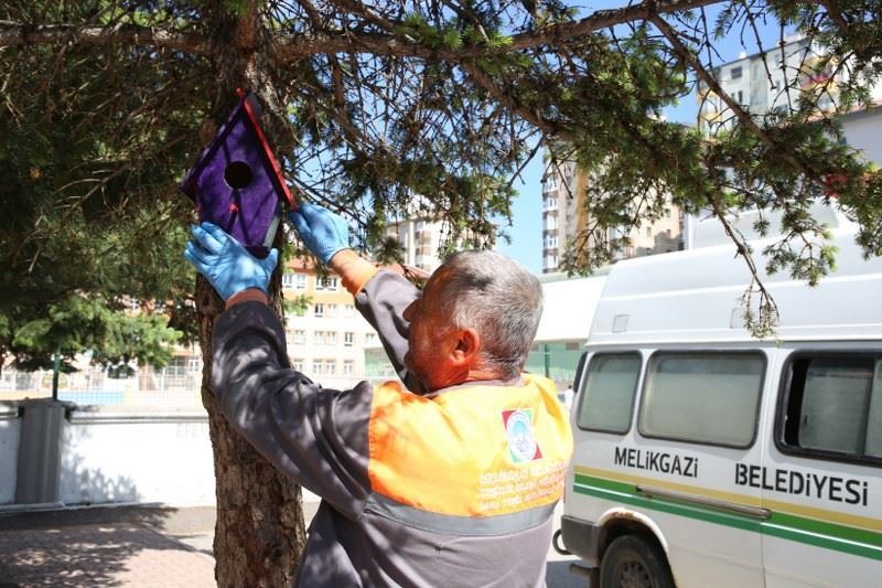 Öğrenciler ve Melikgazi Belediyesi, kuşları yuva sahibi yaptı
