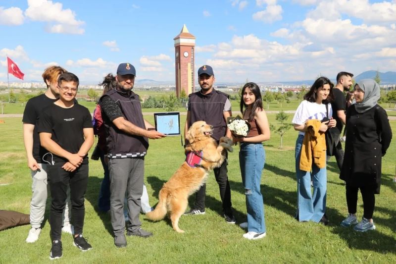 Jandarmanın kahraman köpekleri büyük beğeni topladı
