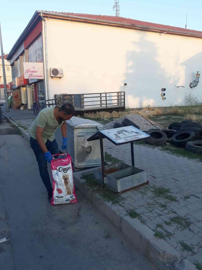 Tomarza’da sokak hayvanlarına yem bırakıldı
