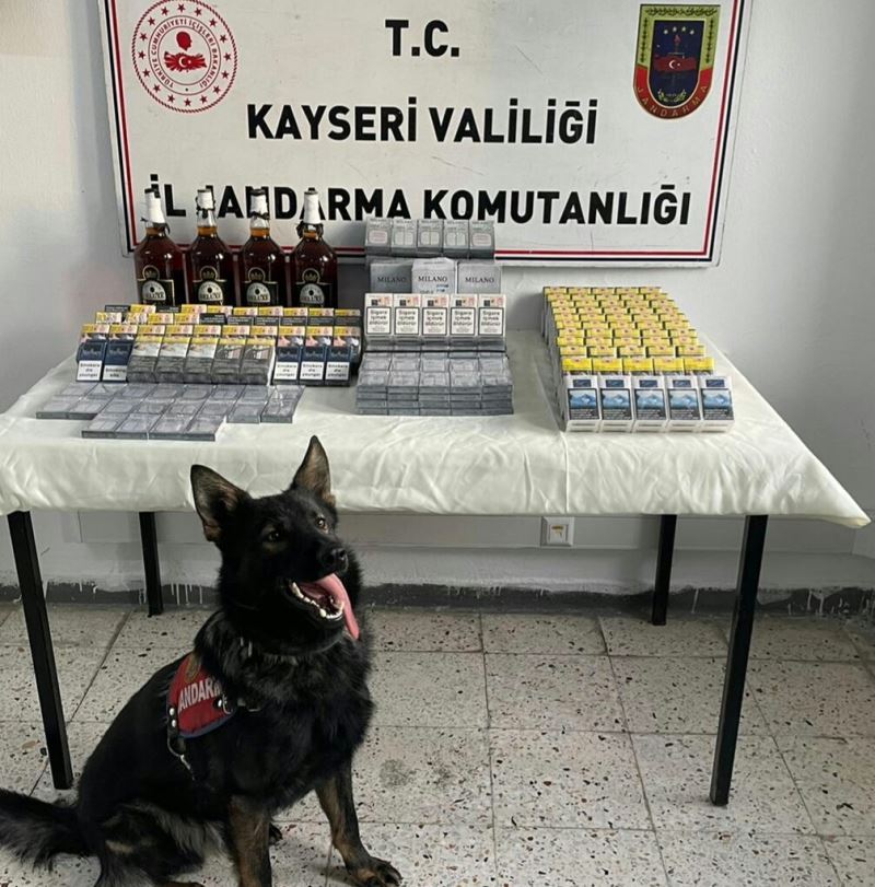 Jandarmadan kaçak sigara ve alkol operasyonu
