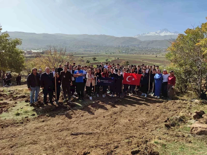 Yaz demeden kış demeden ağaç dikiyoruz
