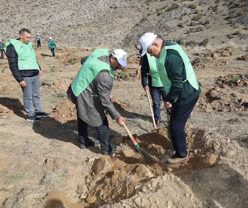 Yahyalı’da binlerce fidan toprakla buluştu
