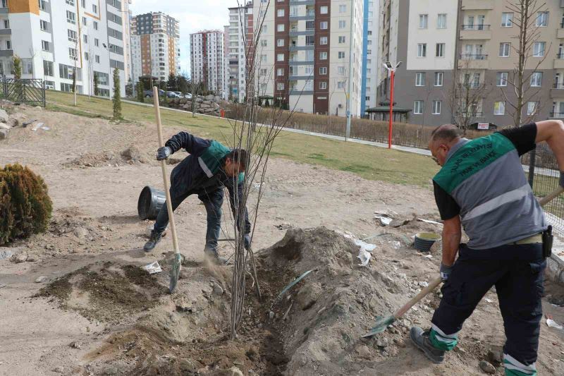 Talas’ta ağaçlandırma sezonu açıldı
