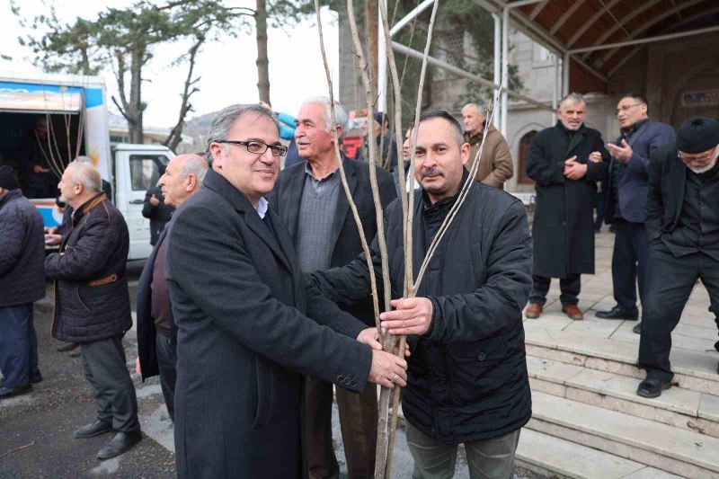 Fidan belediyeden meyve vatandaştan
