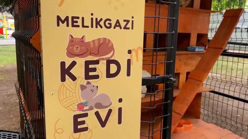 Melikgazi sokaklardaki can dostlar için kedi evleri yaptı
