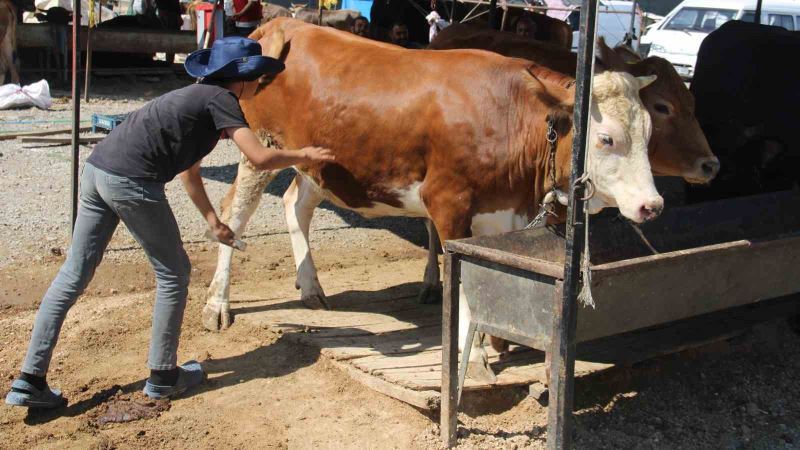 Bayram yaklaştı pazarlıklar kızıştı
