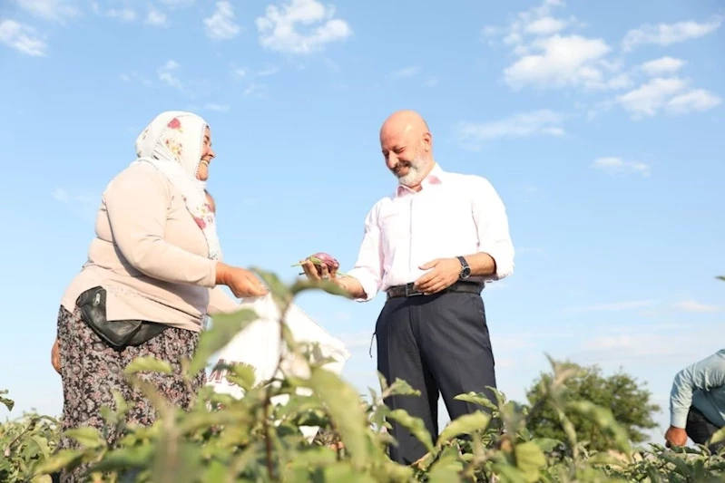 Yamula Patlıcanı Etkinliği’ne Davet
