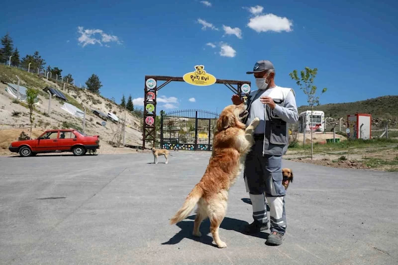 Can dostların huzurlu yuvası: Talas Pati Evi
