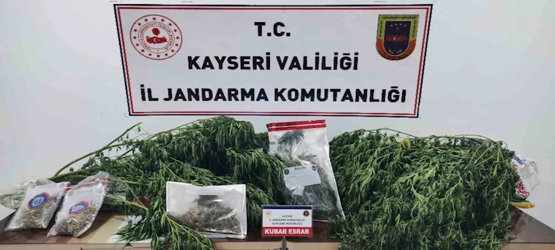 Jandarmadan bağ evine uyuşturucu operasyonu
