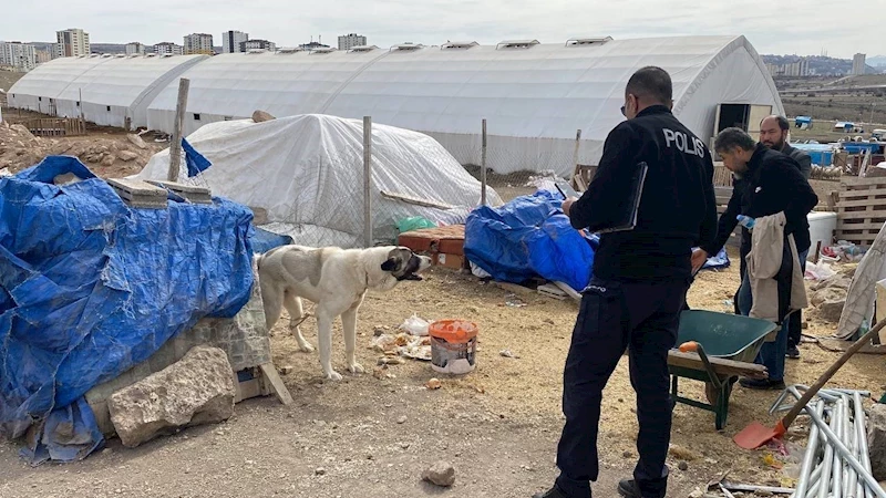 Köpeğin ısırdığı çocuk ağır yaralandı
