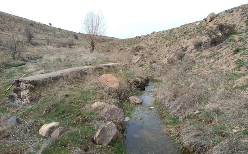 Develili bağcılardan Vali’ye mektup
