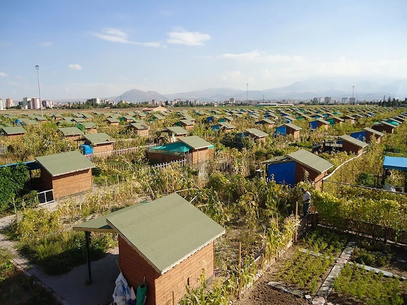 2 bin 543 adet hobi bahçesi için 22 bini aşkın kişi başvurdu
