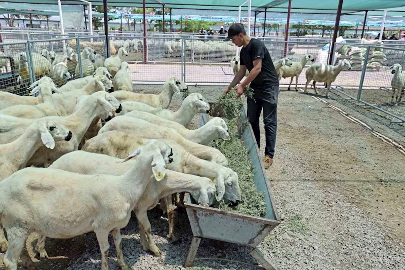 “Kayseri’de bir numara Talas Belediyesi”
