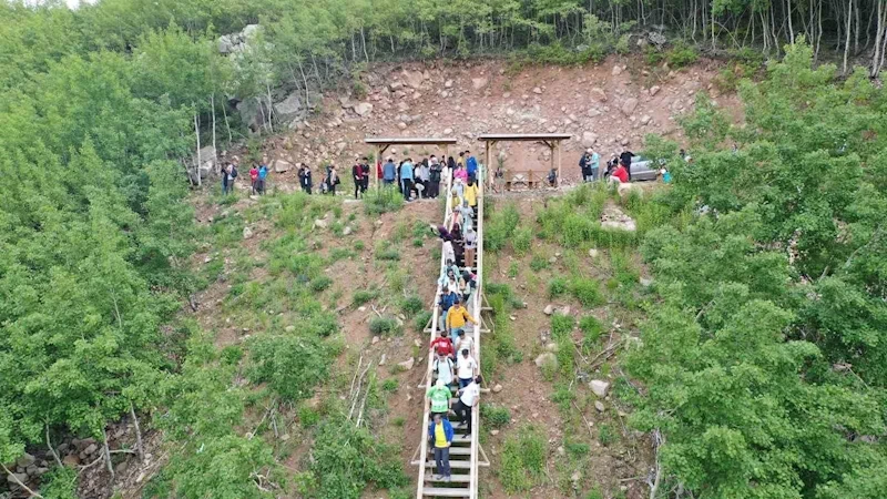 Doğaseverlerin gözde mekanı Ortaseki Ormanları
