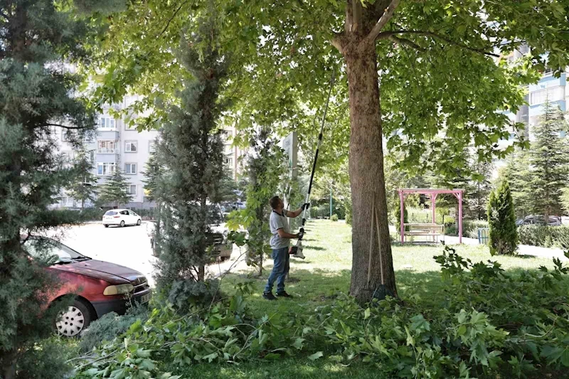 Talas’ta park ve bahçelere yaz bakımı
