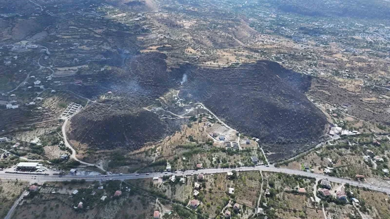 Başkan Özdoğan; yangın bölgesini inceledi
