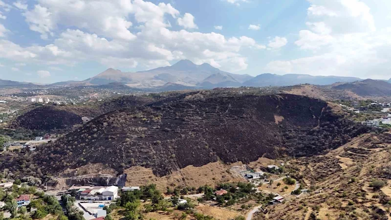 Atıl malzemeleri yakmak isterken; 130 bin metrekare alanı yaktılar
