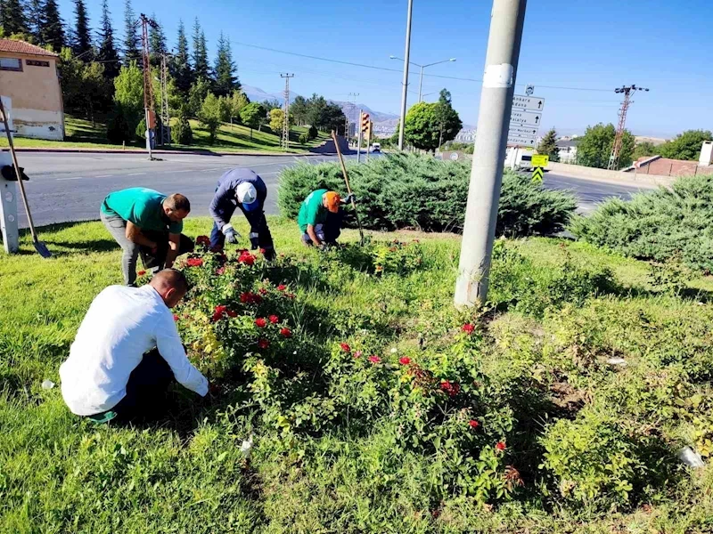 Büyükşehir, yabancı otlarla mücadele ve bakım çalışmalarına hız verdi
