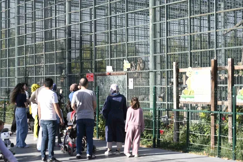 Ücretsiz olan hayvanat bahçesine ziyaretçi akını
