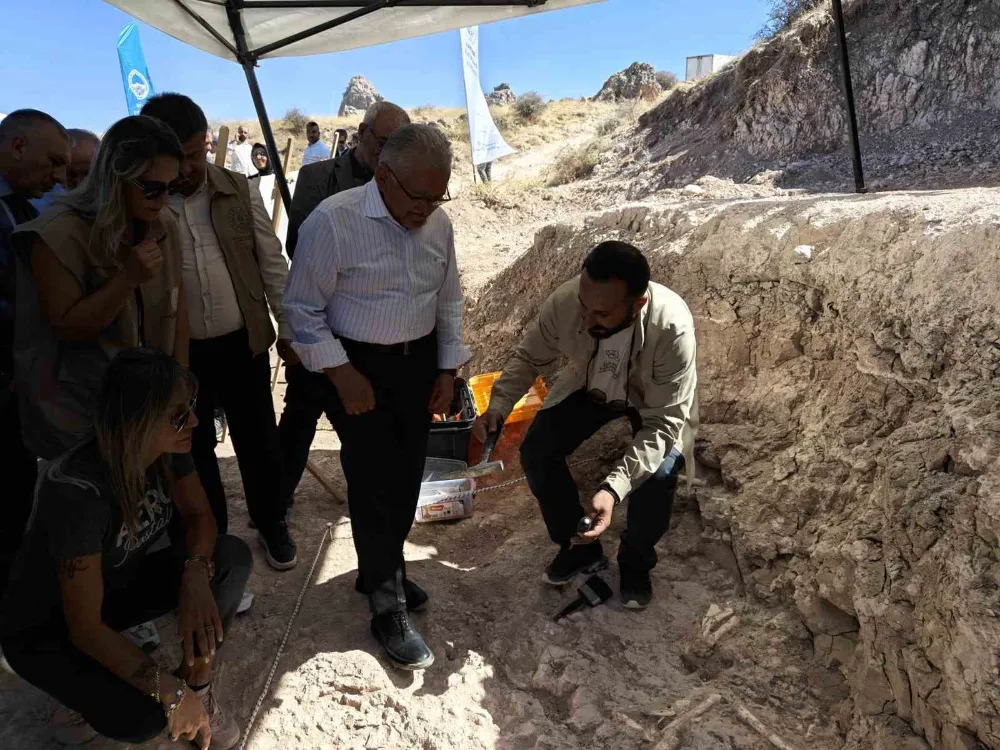 7,7 milyon yıllık kazılarda gelişme: Yeni bir tür olabilir