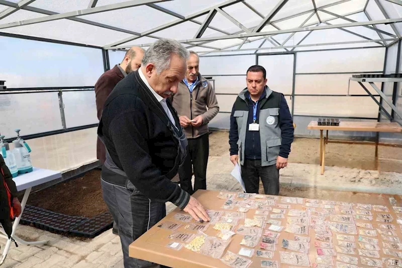 Başkan Yalçın tulumu çekti, tohumları toprakla buluşturdu
