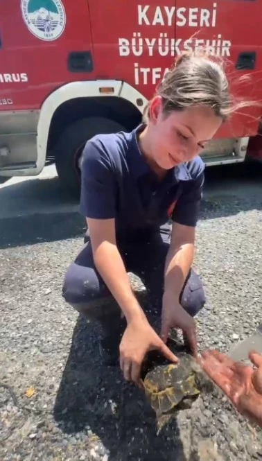 Yangında mahsur kalan kaplumbağaya itfaiyeden yardım eli
