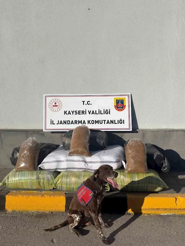 Kimlik kontrolü için durdurulan otobüsten 230 kilogram kaçak tütün çıktı
